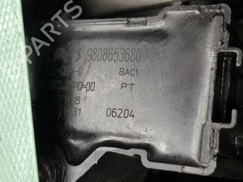 Engine PEUGEOT 2008 II (UD_, US_, UY_, UJ_, UR_, UC_)  | BP31175250M1 
