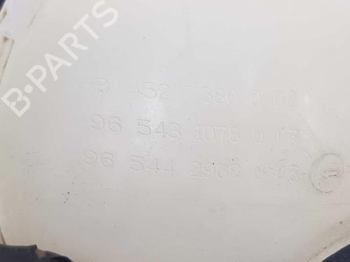 Expansion tank CITROËN BERLINGO Box Body/MPV (B9) 1.6 BlueHDi 100 4x4 | BP6130068C120 