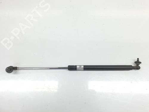 Used Hood lift support TOYOTA LAND CRUISER PRADO (_J12_) 3.0 D-4D (KDJ120, KDJ125) (163 hp) 14096252