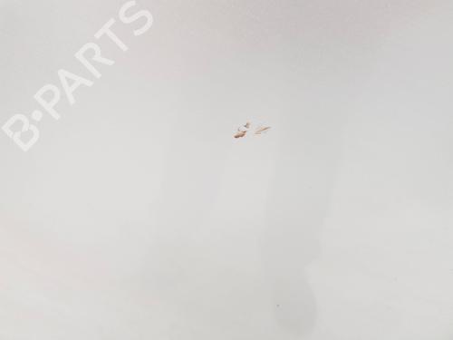 Left front door FORD TRANSIT CUSTOM V362 Van (FY, FZ) 2.2 TDCi | BP30199302C2