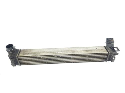 Intercooler RENAULT MEGANE III Hatchback (BZ0/1_, B3_) 1.5 dCi (BZ09, BZ0D, BZ1W, BZ29, BZ14) | BP29467003M30 