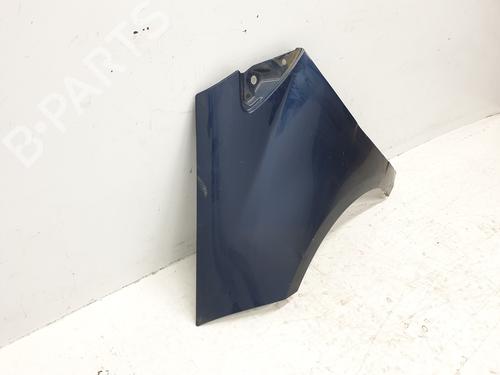 Left front fenders MERCEDES-BENZ A-CLASS (W169) A 180 CDI (169.007, 169.307) | BP28163614C41 