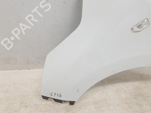 Guarda-lamas esquerdo RENAULT EXPRESS Box Body/MPV 1.5 Blue dCi 95 (F6AB) | BP32208677C41