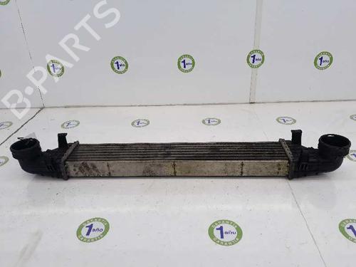 Intercooler MERCEDES-BENZ E-CLASS (W211) E 220 CDI (211.006) | BP3657466M30 