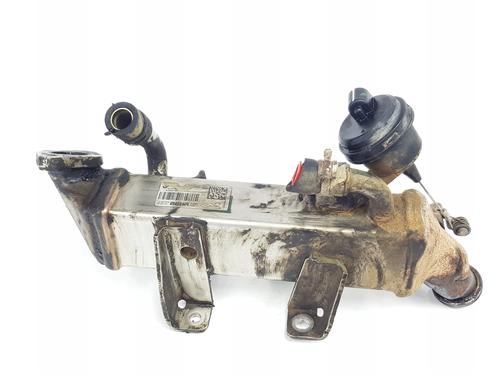 Egr RENAULT MASTER III Van (FV) 2.3 dCi 110 FWD (FV0R, FV0W, FV1A) (110 hp) 32124036
