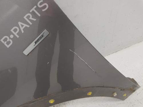 Left front fenders RENAULT SCÉNIC III (JZ0/1_)  | BP26214809C41 