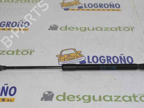 Tailgate lift support BMW 1 (E87) 116 d 51247060622 | 51247060622 |
