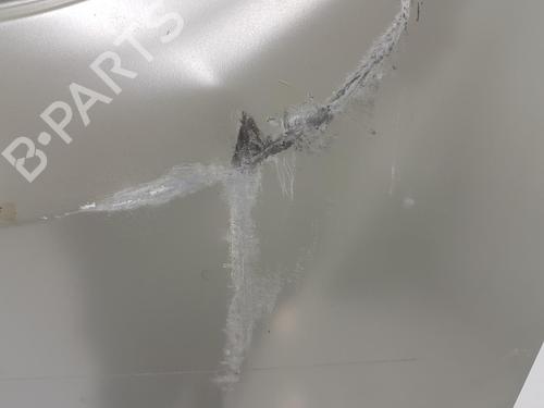 Left front door RENAULT TRAFIC III Van (FG_) 1.6 dCi 90 (FGME) | BP15597148C2