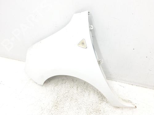Left front fenders RENAULT KANGOO Express (FW0/1_) 1.5 dCi 70 (FW0A, KW0V) | BP17986704C41 