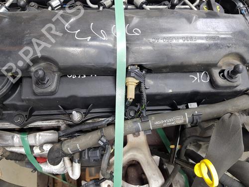 Engine FORD RANGER (TKE) 3.2 TDCi 4x4 | BP36142701M1 - Image 2