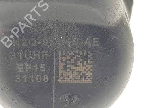 Injector LAND ROVER RANGE ROVER SPORT I (L320) 2.7 D 4x4 | BP24615080M100 