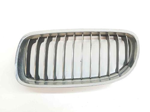 Used Grille BMW 3 Touring (E91) 330 d (245 hp) 14072853