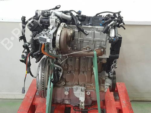 Engine RENAULT KANGOO III Box Body/MPV | BP38929925M1 - Image 11