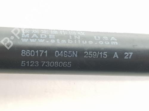 Hood lift support BMW X5 (F15, F85) xDrive 25 d | BP29716415C139 
