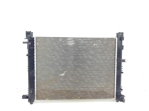 Water radiator DACIA DUSTER (HM_) | BP36678506M31 - Image 3