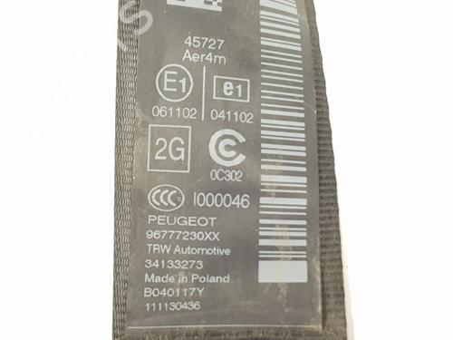 Rear left seatbelt PEUGEOT 308 SW II (LC_, LJ_, LR_, LX_, L4_) 1.6 BlueHDi 120 | BP20657852I29 