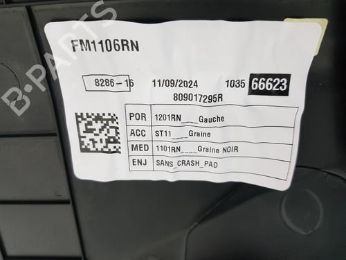 Front left panel RENAULT KANGOO III MPV | BP33658939C58 - Image 4