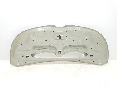 Hood RENAULT TRAFIC III Van (FG_) 1.6 dCi 140 (FGMA, FGMC) | BP30262859C1