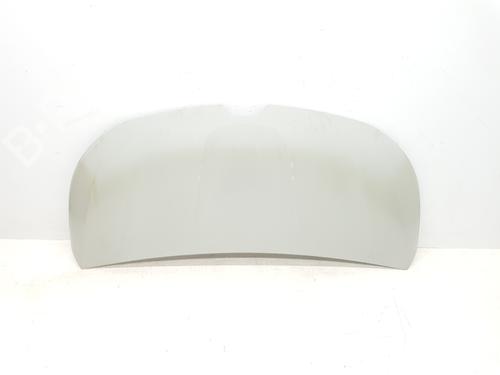 Used Hood RENAULT TRAFIC III Van (FG_) 1.6 dCi 140 (FGMA, FGMC) (140 hp) 30262847