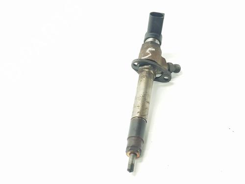 Injector LAND ROVER RANGE ROVER SPORT I (L320) 2.7 D 4x4 | BP24615081M100 