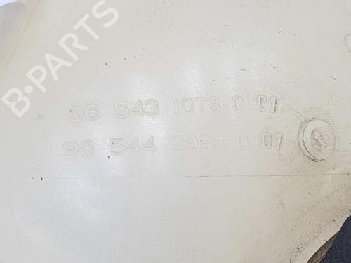 Expansion tank CITROËN C4 Picasso I MPV (UD_) 2.0 HDi 138 | BP4644204C120 
