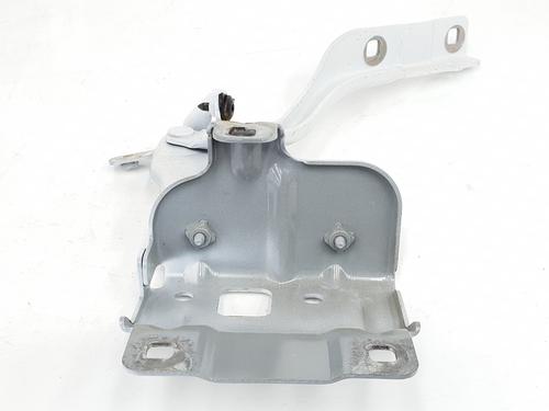 hingedoor-check-strap-dacia-duster-pym_-pyn_-2023-34736036 main image