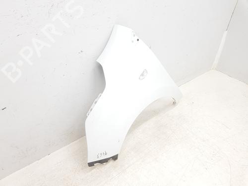 Guarda-lamas esquerdo RENAULT EXPRESS Box Body/MPV 1.5 Blue dCi 95 (F6AB) | BP32208677C41