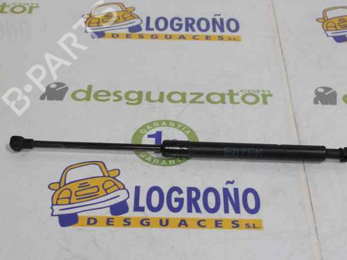 Hood lift support BMW 1 (E87) 118 d 51237118370 | 51237118370 |