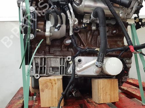 Engine FORD TRANSIT V363 Platform/Chassis (FED, FFD) | BP35765040M1 - Image 7