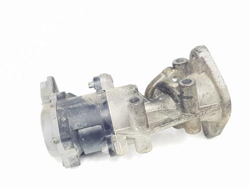 Egr LAND ROVER DISCOVERY III (L319) 2.7 TD 4x4 | BP24597893M69 