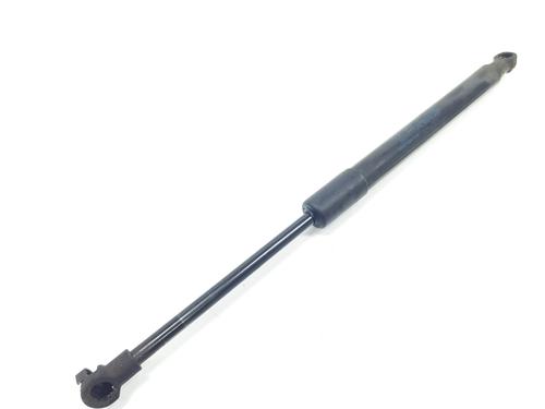 Hood lift support RENAULT TALISMAN (LP_) 1.6 dCi 160 | BP16959827C139 