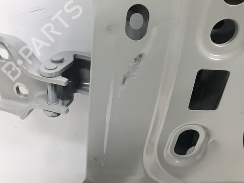 Left front door RENAULT TRAFIC III Bus (JG_)  | BP21003924C2 