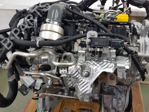 Engine RENAULT KANGOO III MPV  | BP34196372M1  - Image 5