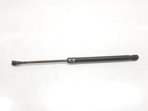 Tailgate lift support BMW 1 (E87) 118 d | BP14119605C138 