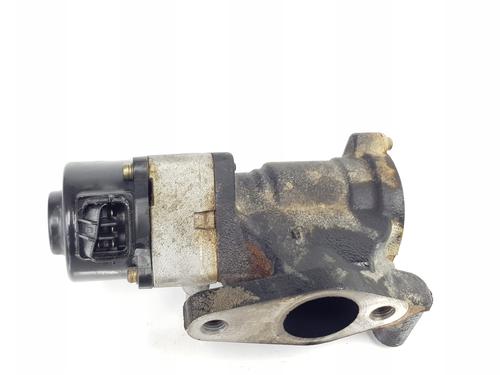Egr NISSAN PATHFINDER III (R51)  | BP26012335M69 