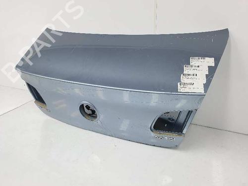 Tailgate VW PASSAT B6 (3C2) 2.0 TDI 16V | BP1542982C6 