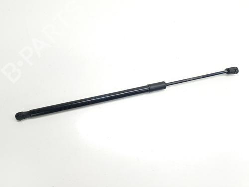 tailgate-lift-support-renault-austral-2022-32438998 main image