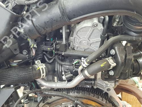 Engine DACIA JOGGER (RK_)  | BP38181664M1  - Image 9