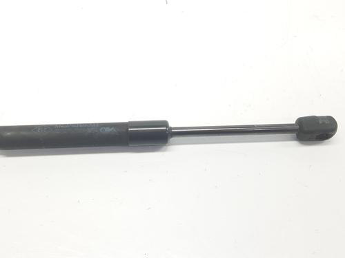 Used Hood lift support RENAULT GRAND SCÉNIC III (JZ0/1_) 1.6 dCi (JZ00, JZ12) (130 hp) 14113022