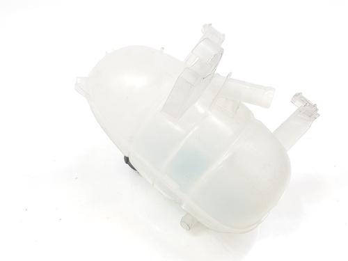 Expansion tank RENAULT TRAFIC III Van (FG_)  | BP29338179C120 