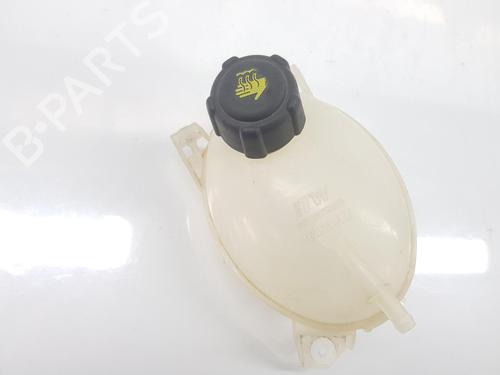 Expansion tank RENAULT CLIO IV (BH_) 0.9 TCe 90 (BHNF, BHMA, BHMH, BHJK, BHJR) | BP7313779C120 