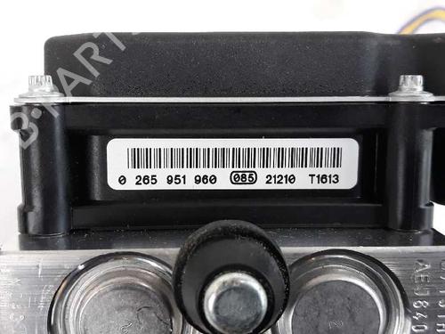 ABS pump LAND ROVER RANGE ROVER SPORT I (L320) 3.0 D 4x4 | BP2691086M43 