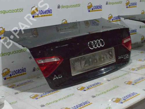 BP2973771C6 | Tailgate AUDI A5 (8T3) 3.0 TDI quattro BP2973771C6