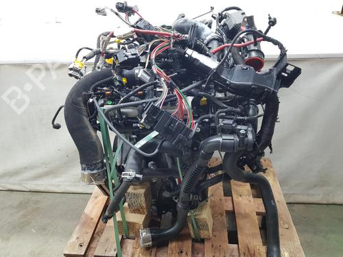 Engine DACIA SANDERO III 1.0 TCe 100 ECO-G | BP32510344M1