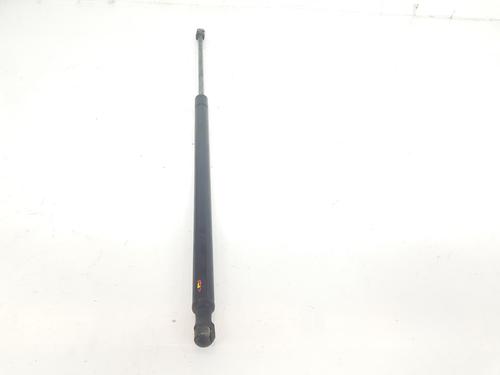 Tailgate lift support LAND ROVER RANGE ROVER SPORT I (L320) 3.6 D 4x4 | BP14096551C138 