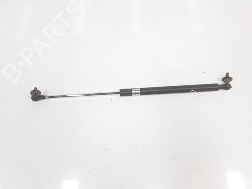 Used Hood lift support TOYOTA LAND CRUISER PRADO (_J12_) 3.0 D-4D (KDJ120, KDJ125) (163 hp) 14116198