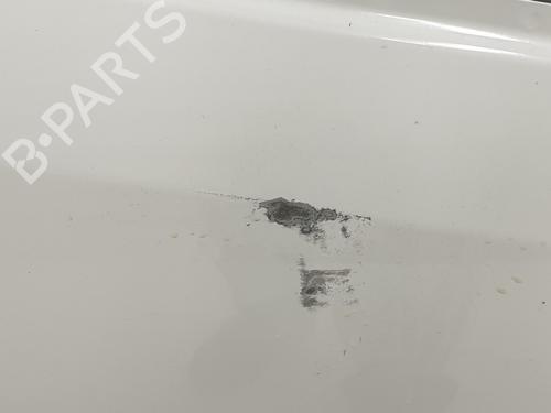 Right front door RENAULT TRAFIC III Van (FG_) 1.6 dCi 140 (FGMA, FGMC) | BP30144952C3