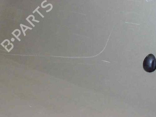 Hood RENAULT CLIO III (BR0/1, CR0/1)  | BP1425003C1 