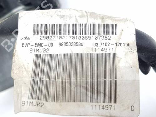 Vacuum pump CITROËN BERLINGO (ER_, EC_) ë-BERLINGO | BP38929565M80 - Image 6
