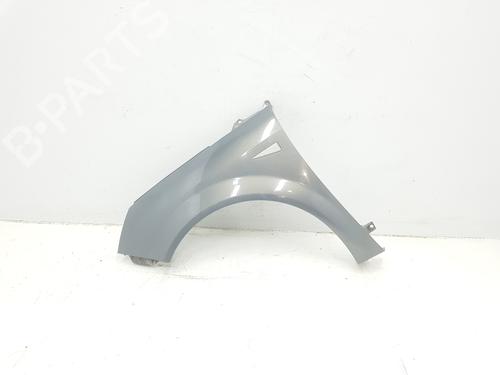 Used Left front fenders RENAULT GRAND SCÉNIC II (JM0/1_) 1.5 dCi (JM02, JM13) (101 hp) 15074870